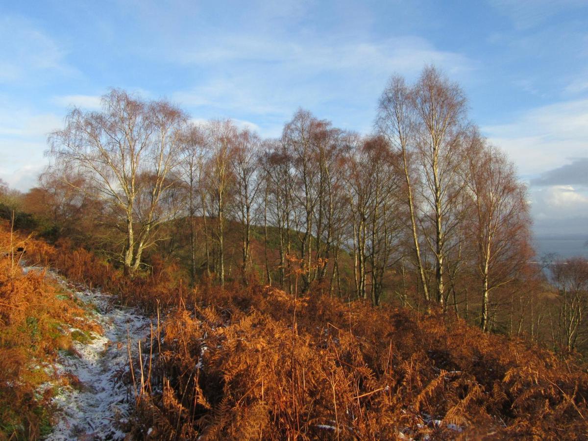 Osprey, Longhouse Cottages Rosemarkie エクステリア 写真